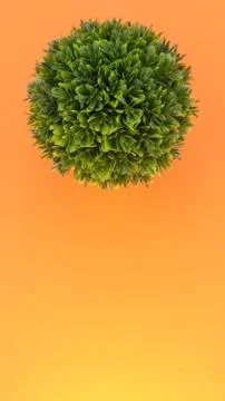 Artificial potted plants top view still life Stock Photos