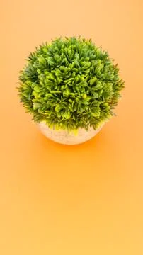 Artificial potted plants top view still life Stock Photos