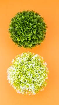 Artificial potted plants top view still life Stock Photos