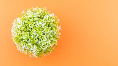 Artificial potted plants top view still life Stock Photos