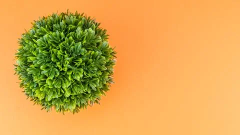 Artificial potted plants top view still life Stock Photos
