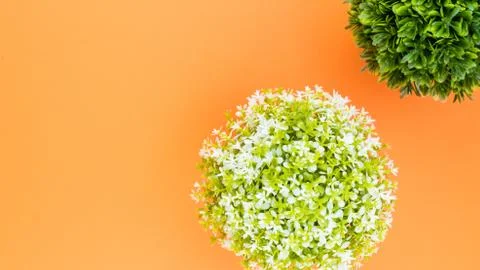 Artificial potted plants top view still life Stock Photos