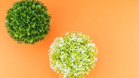 Artificial potted plants top view still life Stock Photos