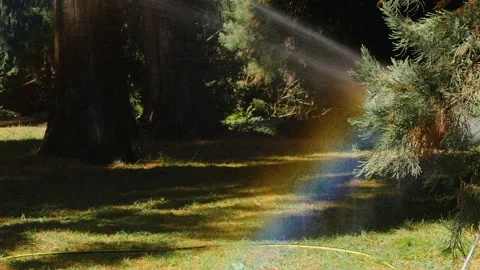 Artificial rainbow  Stock Footage 135887337