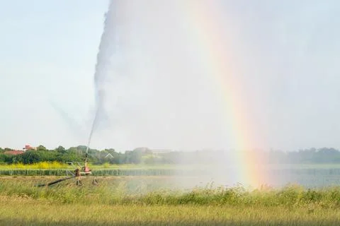 Artificial Rainbow Stock Photos
