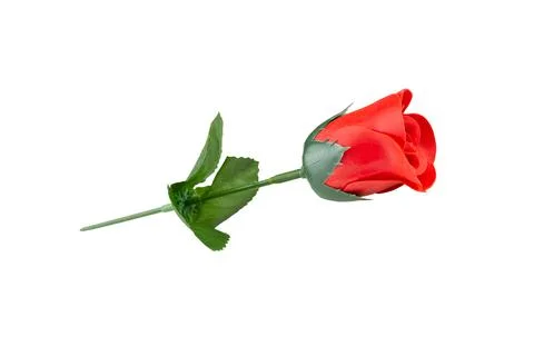 Artificial red rose with green leaf and stem, isolated on white background. Stock Photos