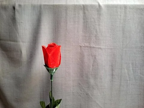 Artificial Red Roses on the left with a gray background Stockfoto's