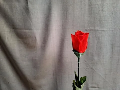 Artificial Red Roses on the right with a gray background Stock-Fotos
