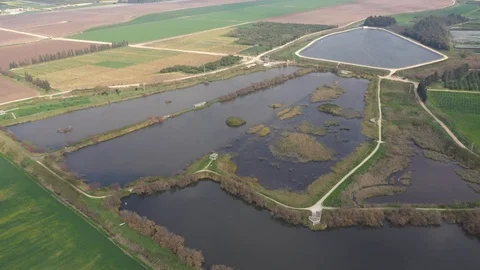 Artificial reed bulrush in fields Stock Footage 125909029