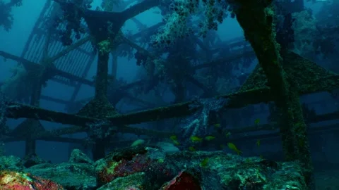 An artificial reef covered with marine growth and fish Stock Footage 346530962