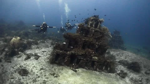 Artificial reef creating a vibrant underwater oasis in the beautiful blue sea Stock Footage 254933113