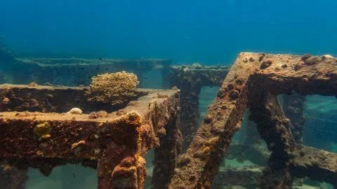 Artificial reef cube Stock Photos
