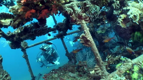 Artificial reef with diver in the background, Coral Garden, Tulamben, Bali Video stock 58957671