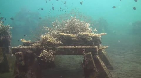 Artificial reef Stock Footage