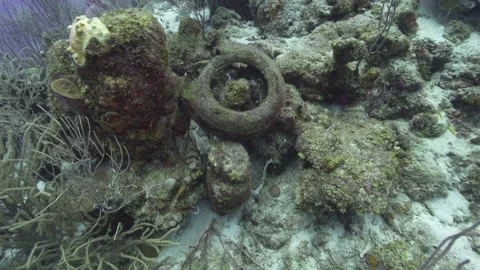 Artificial reef formed from tire that nature reclaims Stock Footage 224568587