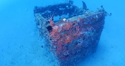 Artificial reef to grow corals and to keep fish in tropical underwater scenery Stock Footage 127608136