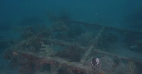 Artificial Reef In Rye Pier, Port Phillip Bay, 8K Stock-Footage 331973512