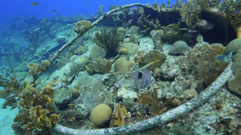 Artificial reef on the shipwreck Saba, moving stern to bow over entire wreck Vídeos de archivo 223579378