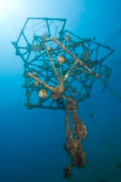 Artificial reef structure, made of recycled material. Foto stock