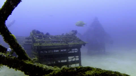 Artificial Reef Structures with Fish and Diver in Sandy Seabed Stock Footage 346569372