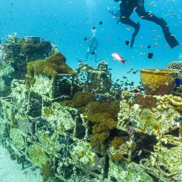 An artificial reef teeming with fish. Picture from Egypt, the Red Sea Stock Photos