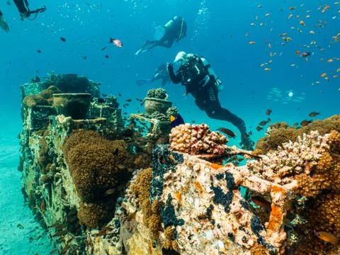 An artificial reef teeming with fish. Picture from Egypt, the Red Sea Stock Photos