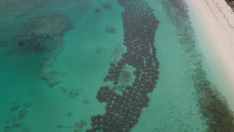 Artificial Reef in Tropical Waters Stock Footage 248931491