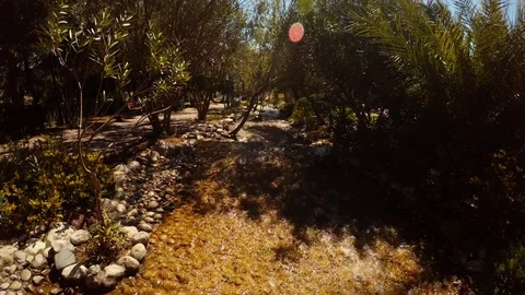 Artificial river in the new park in the north of Alanya in the south of Turkey Stock Footage 82166710