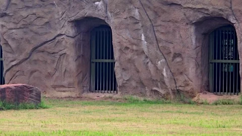 Artificial rock caves with metal bars in a zoo enclosure Stock Footage 344154879