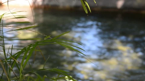 Artificial rock river in entertainment park Stock Footage 93681022
