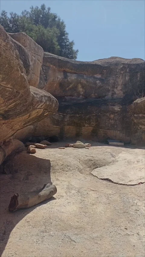 Artificial Rocky Cave and Desert Habitat Structure inside a Zoo Stock Footage 343959455