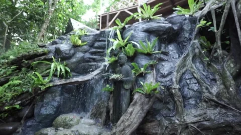 Artificial roots in a tree house Stock Footage 260366371