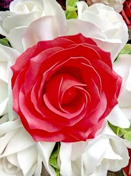 Artificial rose - close up, flower Stockfoto's