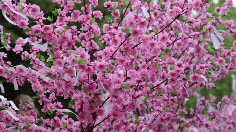 Artificial rose tree close up Video stock 27788569