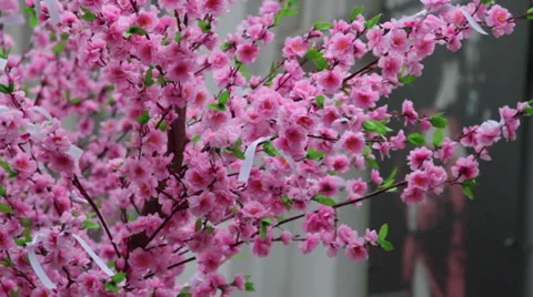 Artificial rose tree Stock Footage 27788563