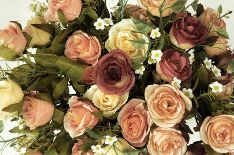 Artificial roses Stock Photos