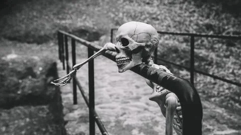 Artificial skeleton looking away resting parapet 写真素材