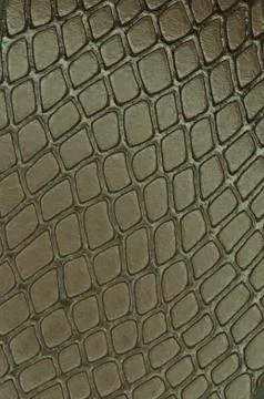 Artificial snake skin Stock Photos