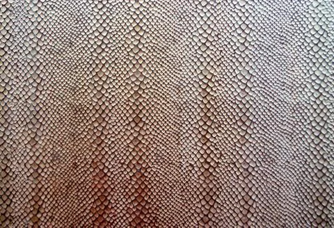 Artificial Snakeskin Stock Photos