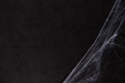 Artificial spider web over black background. Mockup for Halloween Foto stock