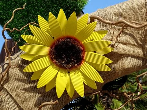 Artificial Summer Sunflower Stock Photos