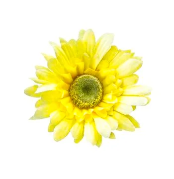 Artificial sunflower isolated Stock Photos