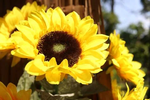 Artificial sunflower. Foto stock