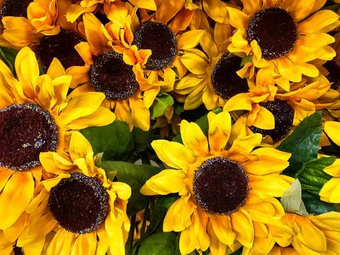 Artificial Sunflowers for Real Background Stockfoto's