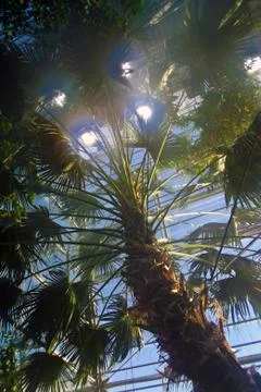 Artificial suns Stock Photos