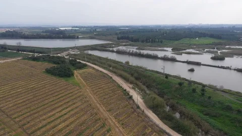 Artificial swamp Stock Footage 125909521