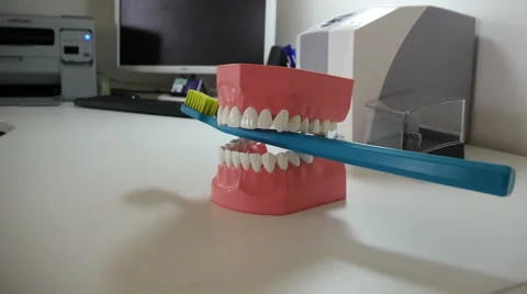 Artificial Teeth Stock Footage 49690794