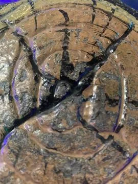 Artificial Tree Bark Pattern Texture Closeup Foto stock