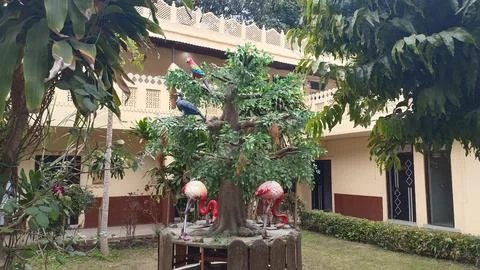 An Artificial tree in a compound of a house halving bird nests Photos