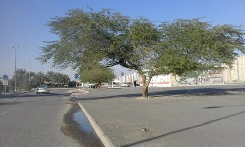 Artificial tree planted by human Stock Photos